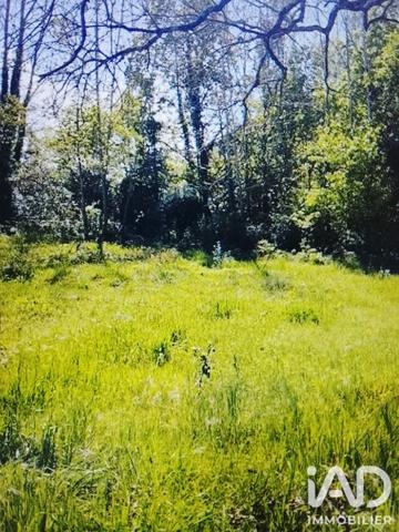 Terrain à vendre 1 250 m² Saint-Hilaire-de-Riez