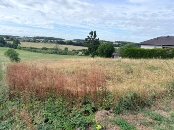 Terrain à vendre de 1 049,00 m² HAROL (88)