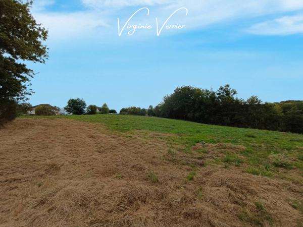 Terrain à vendre de 11 205 m²
