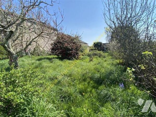 Maison en pierre de 1965 avec beau jardin plein Sud