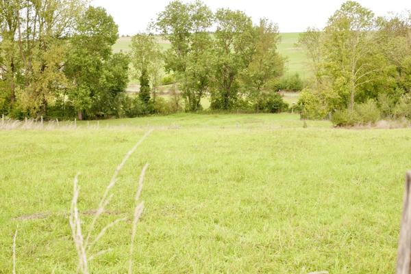 TERRAIN 115 296 M2 VENDU