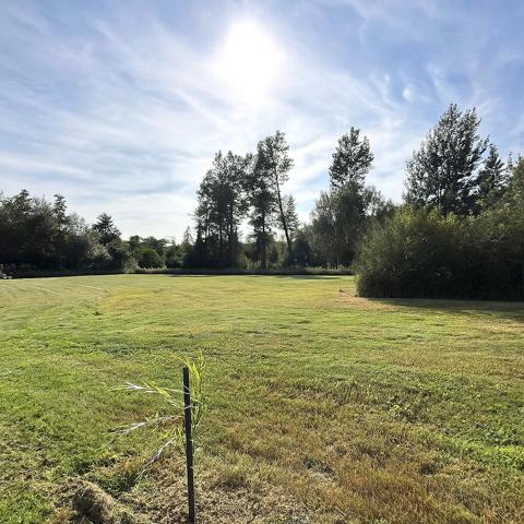 A Vendre - Terrain de loisirs de 3601 m² -  Beaumerie Saint Martin