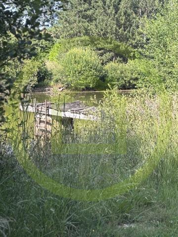 Maison et terrain à CHENERAILLES (23130)