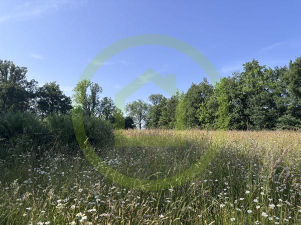 Maison et terrain à CHENERAILLES (23130)