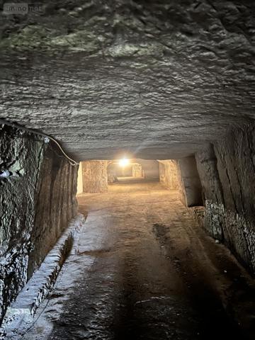 Garage - Parking à vendre à Naveil dans le Loir-et-Cher (41100), ref : 41059-926