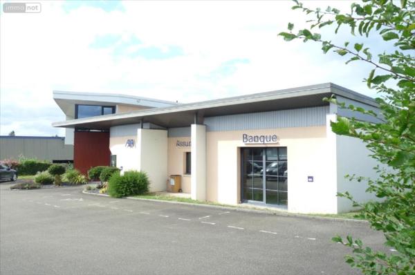 Fonds et/ou murs commerciaux à vendre à Mayenne en Mayenne (53100), ref : 53075-FC1