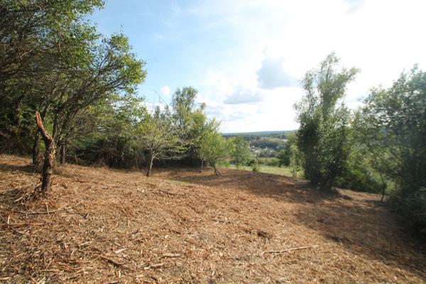 Dpt Lot et Garonne (47), à vendre proche de CASTELJALOUX maison P4 de 70 m² garage et jardin