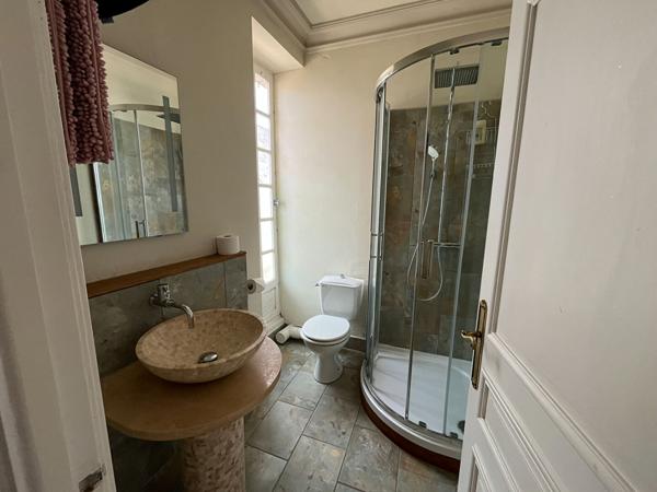 Grande demeure de caractère au coeur du Lude avec piscine chauffée et 8 chambres