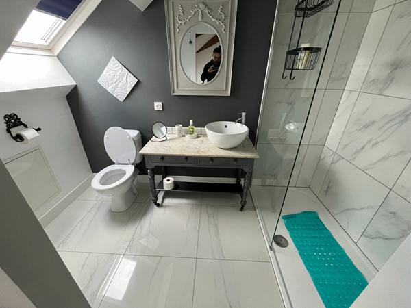 Grande demeure de caractère au coeur du Lude avec piscine chauffée et 8 chambres