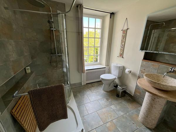 Grande demeure de caractère au coeur du Lude avec piscine chauffée et 8 chambres