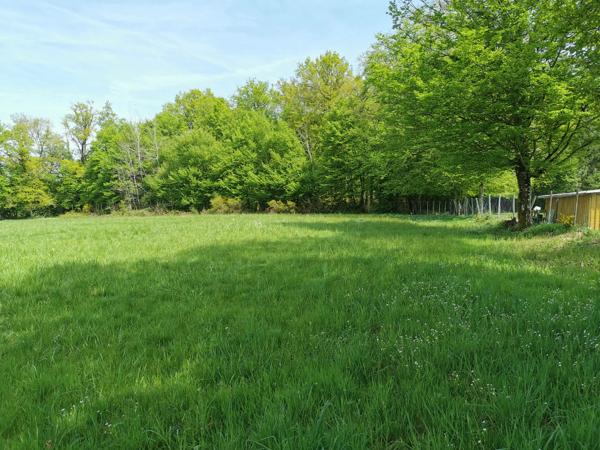 TERRAIN PLAT 4148M² - CALME - ENVIRONNEMENT CAMPAGNE