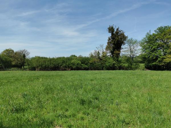 TERRAIN PLAT 4148M² - CALME - ENVIRONNEMENT CAMPAGNE