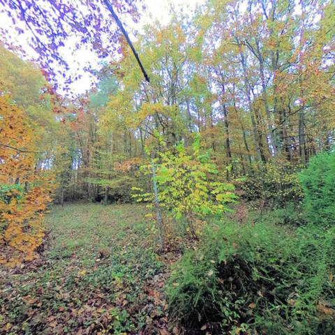 Terrain à vendre de 6 000 m²