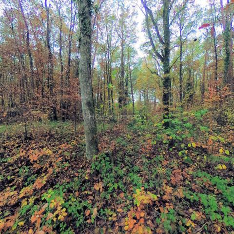 Terrain à vendre de 6 000 m²