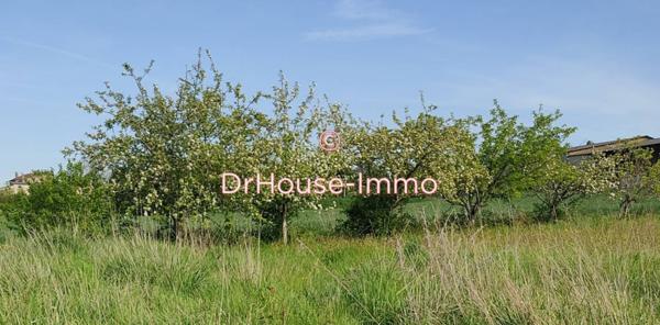 Terrain à vendre de 4 260 m²