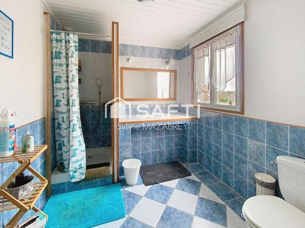 Coup de cœur assuré pour cette maison atypique pleine de charme, à 10 minutes de Bray-sur-Seine !