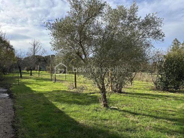 Terrain de 1 150 m²