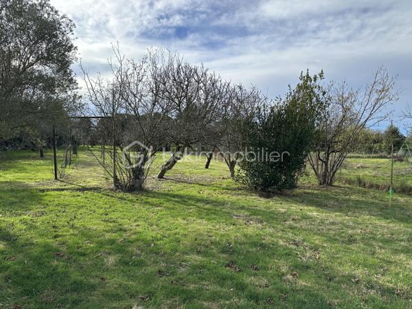 Terrain de 1 150 m²