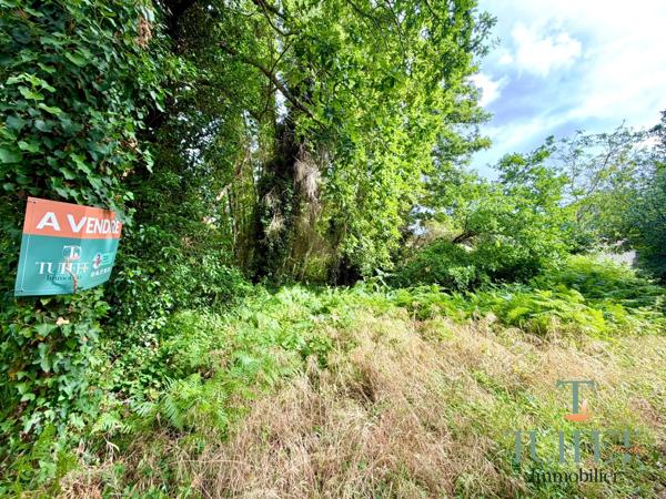 TOUT PROCHE RONCE LES BAINS - TERRAIN NATUREL BOISÉ