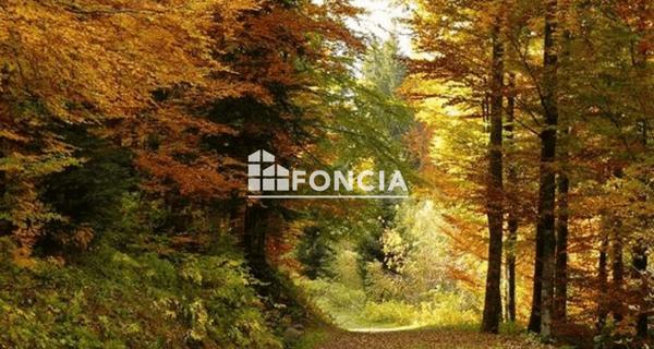 À vendre Appartement 6 pièces 139 m² - Noisy-le-roi 78590