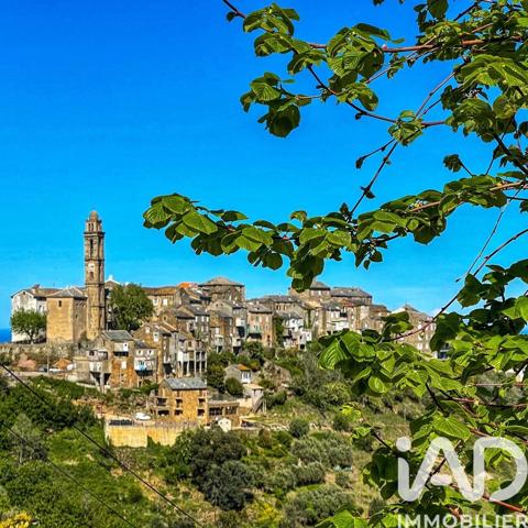 Maison à vendre 7 pièces 193 m² Venzolasca