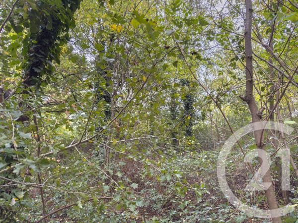 Terrain à vendre  2600 m2 ST MATHURIN - 85