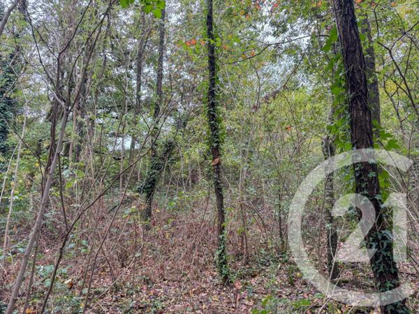 Terrain à vendre  2600 m2 ST MATHURIN - 85