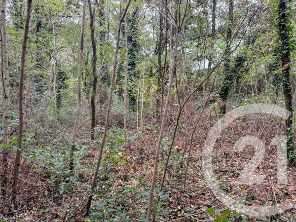 Terrain à vendre  2600 m2 ST MATHURIN - 85