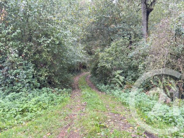 Terrain à vendre  2600 m2 ST MATHURIN - 85