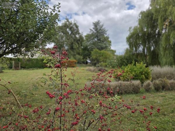 Terrain à Batir à vendre à Sermiers dans la Marne (51500), ref :