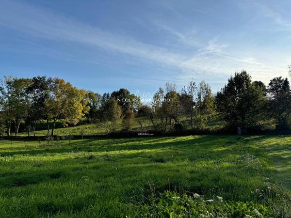 Terrain borné et viabilisé- environnement agréable