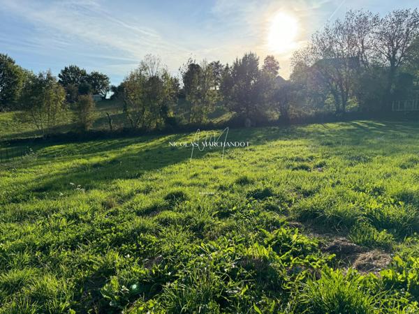 Terrain borné et viabilisé- environnement agréable