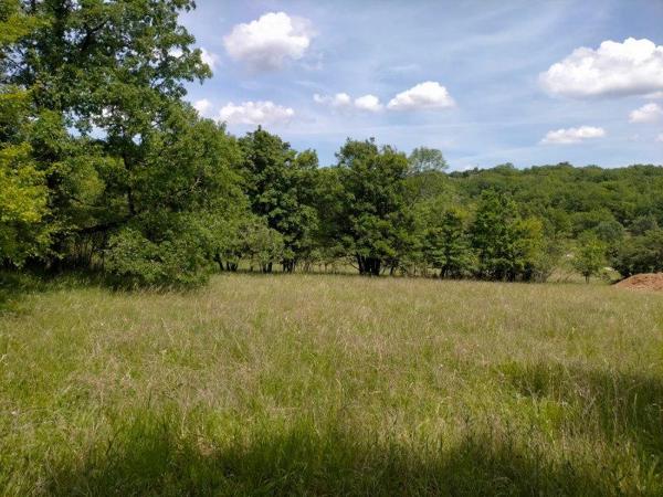 Terrain constructible boisé