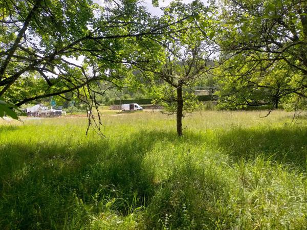 Terrain constructible boisé