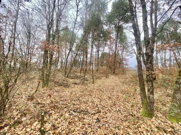Vente Terrain 2681 m2 à Montans