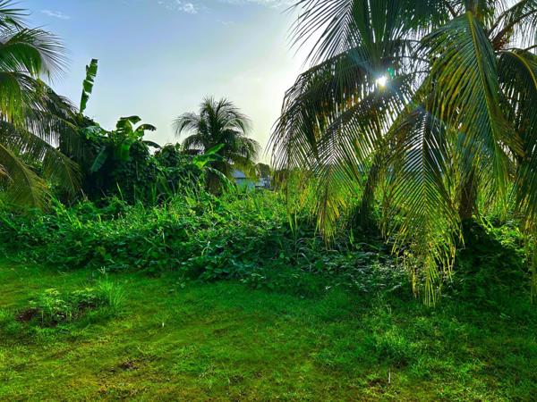 Vente Terrain500 m² - CAPESTERRE BELLE EAU (97130)