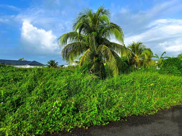 Vente Terrain500 m² - CAPESTERRE BELLE EAU (97130)