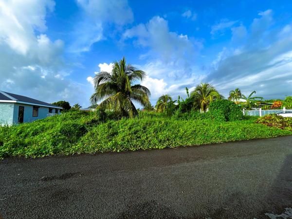 Vente Terrain500 m² - CAPESTERRE BELLE EAU (97130)