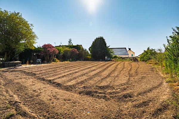 Maison 6 pièce(s) 121 m2 , Bellevigne en layon