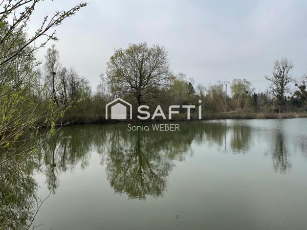 Rare Proche de Vitry le François, Axe Lac du Der un étang
