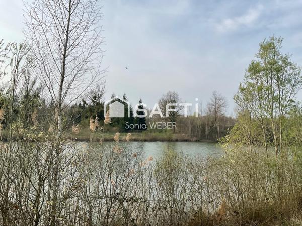 Rare Proche de Vitry le François, Axe Lac du Der un étang