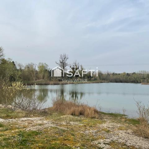 Rare Proche de Vitry le François, Axe Lac du Der un étang