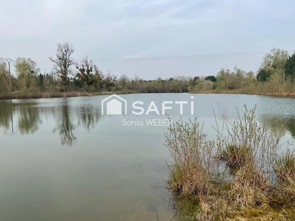 Rare Proche de Vitry le François, Axe Lac du Der un étang