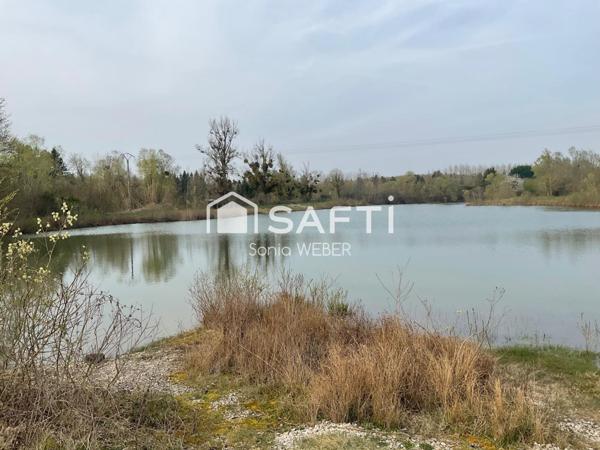 Rare Proche de Vitry le François, Axe Lac du Der un étang