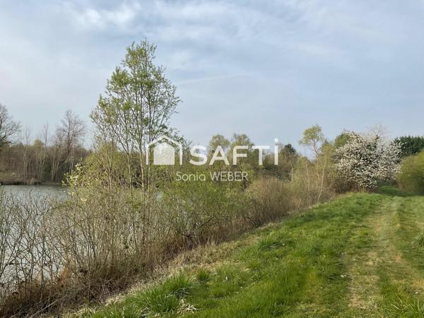 Rare Proche de Vitry le François, Axe Lac du Der un étang