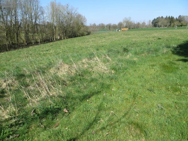 Maison à vendre à Mesnil-Clinchamps dans le Calvados (14380), ref : 14076-5721
