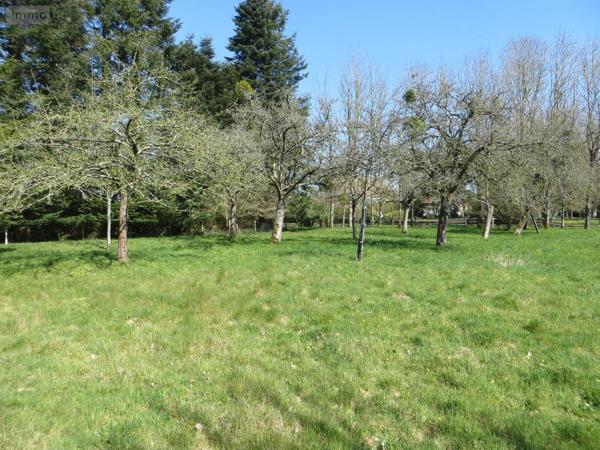 Maison à vendre à Mesnil-Clinchamps dans le Calvados (14380), ref : 14076-5721