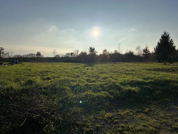 Vente Terrain à Martigné-Ferchaud