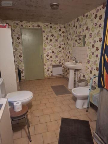 Grande propriété à vendre à Saint-Martin-d'Auxigny dans le Cher (18110), ref : 18016/2076