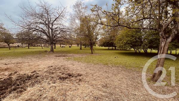 terrain à vendre 15659 m2 SEZANNE - 51